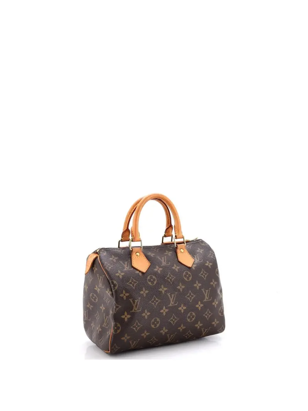Louis Vuitton Speedy Handbag Canvas 25 #303185L15B